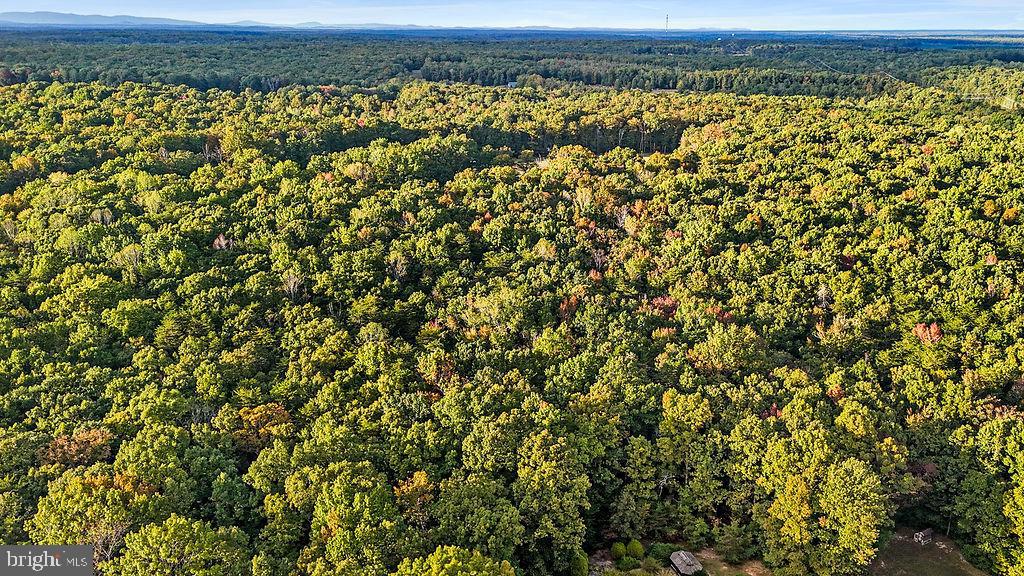 0 OLD PLANK RD, LOCUST GROVE, Virginia 22508, ,Land,For sale,0 OLD PLANK RD,VAOR2012528 MLS # VAOR2012528