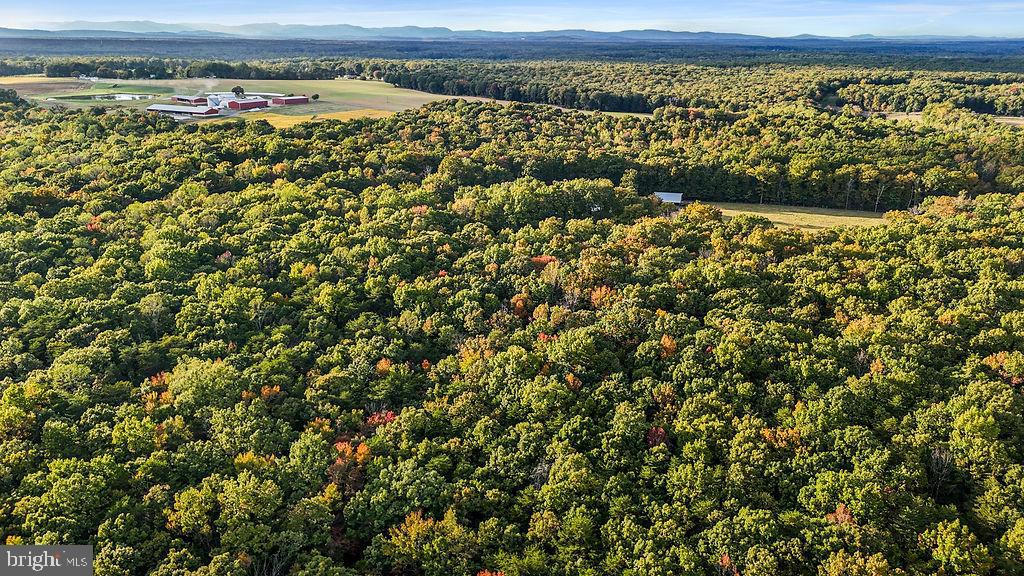 0 OLD PLANK RD, LOCUST GROVE, Virginia 22508, ,Land,For sale,0 OLD PLANK RD,VAOR2012528 MLS # VAOR2012528