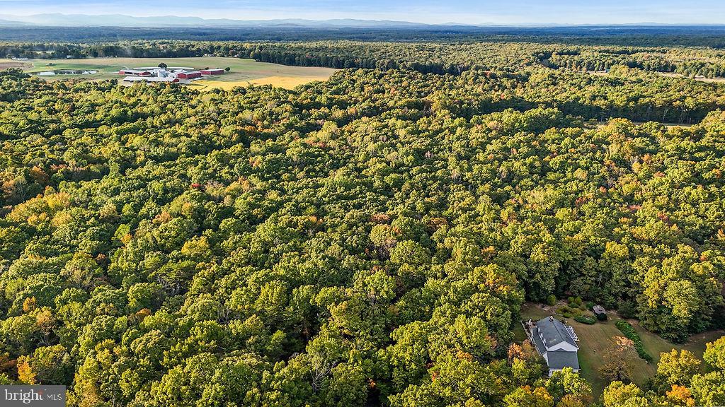0 OLD PLANK RD, LOCUST GROVE, Virginia 22508, ,Land,For sale,0 OLD PLANK RD,VAOR2012528 MLS # VAOR2012528