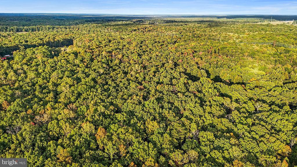0 OLD PLANK RD, LOCUST GROVE, Virginia 22508, ,Land,For sale,0 OLD PLANK RD,VAOR2012528 MLS # VAOR2012528