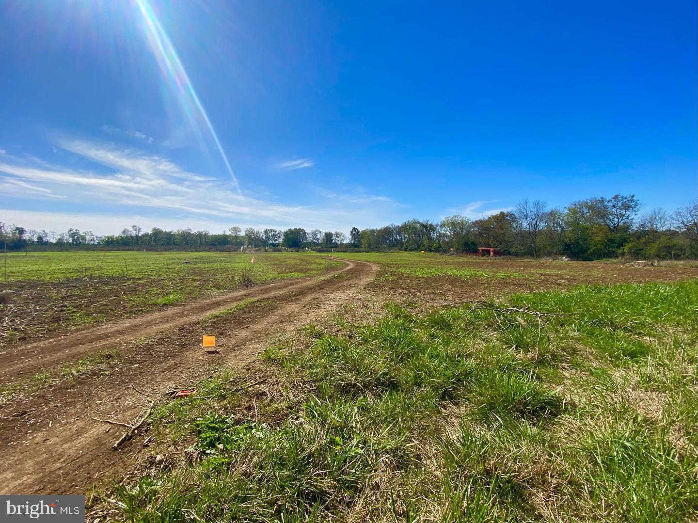 737 LONGMARSH RD, BERRYVILLE, Virginia 22611, ,Farm,For sale,737 LONGMARSH RD,VACL2006150 MLS # VACL2006150