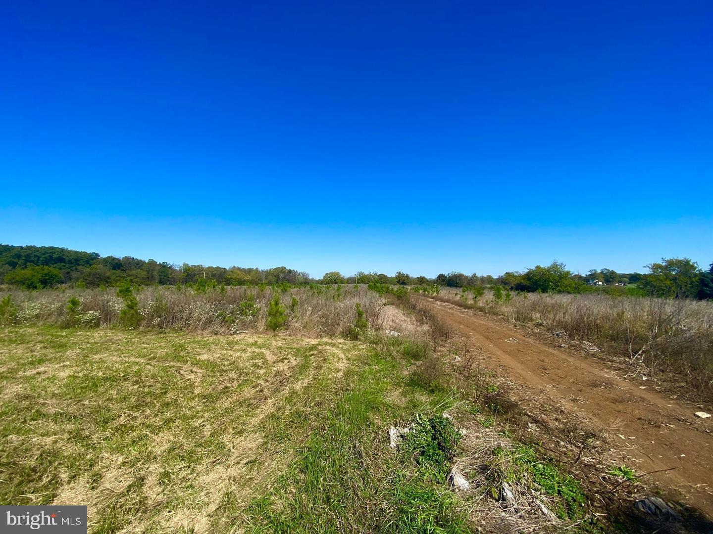 737 LONGMARSH RD, BERRYVILLE, Virginia 22611, ,Farm,For sale,737 LONGMARSH RD,VACL2006150 MLS # VACL2006150