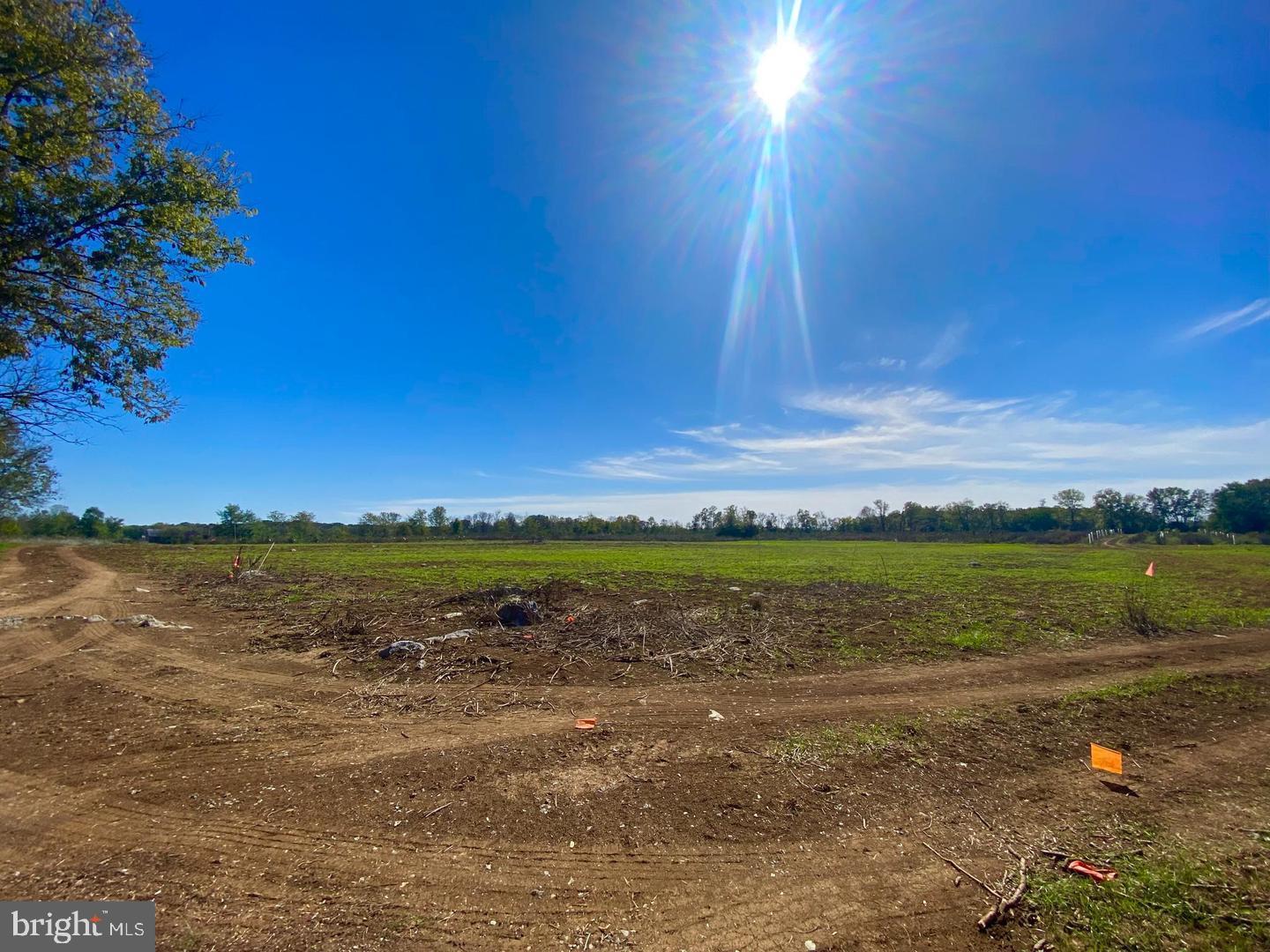 737 LONGMARSH RD, BERRYVILLE, Virginia 22611, ,Farm,For sale,737 LONGMARSH RD,VACL2006150 MLS # VACL2006150