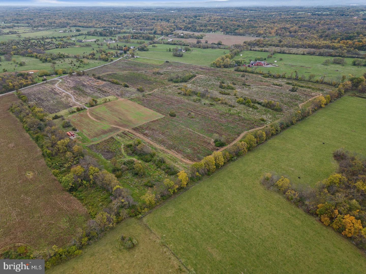 737 LONGMARSH RD, BERRYVILLE, Virginia 22611, ,Farm,For sale,737 LONGMARSH RD,VACL2006150 MLS # VACL2006150