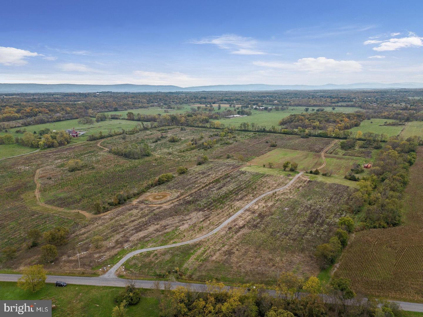 737 LONGMARSH RD, BERRYVILLE, Virginia 22611, ,Farm,For sale,737 LONGMARSH RD,VACL2006150 MLS # VACL2006150