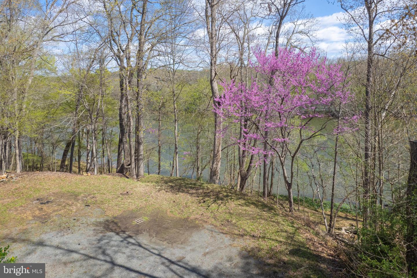 121 YARNICK RD, GREAT FALLS, Virginia 22066, ,Land,For sale,121 YARNICK RD,VAFX2274744 MLS # VAFX2274744