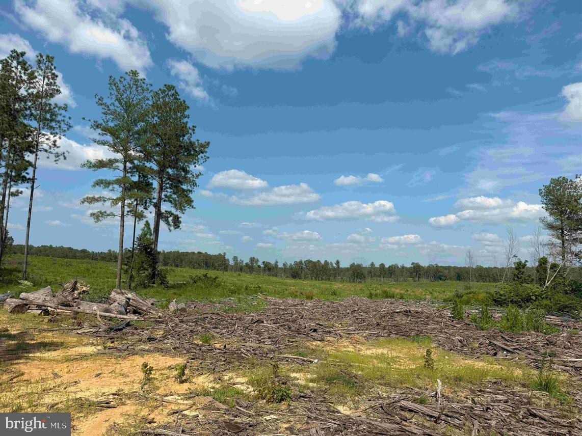 HOLLAND ROAD (TRACT: JR BEDFORD-BOWLES_SIMS-2), COLUMBIA, Virginia 23038, ,Farm,For sale,HOLLAND ROAD (TRACT: JR BEDFORD-BOWLES_SIMS-2),VAFN2000520 MLS # VAFN2000520