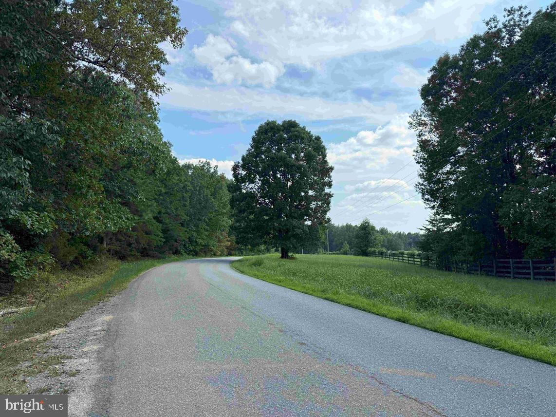 HOLLAND ROAD (TRACT: JR BEDFORD-BOWLES_SIMS-2), COLUMBIA, Virginia 23038, ,Farm,For sale,HOLLAND ROAD (TRACT: JR BEDFORD-BOWLES_SIMS-2),VAFN2000520 MLS # VAFN2000520