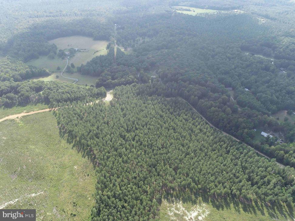 HOLLAND ROAD (TRACT: JR BEDFORD-BOWLES_SIMS-2), COLUMBIA, Virginia 23038, ,Farm,For sale,HOLLAND ROAD (TRACT: JR BEDFORD-BOWLES_SIMS-2),VAFN2000520 MLS # VAFN2000520