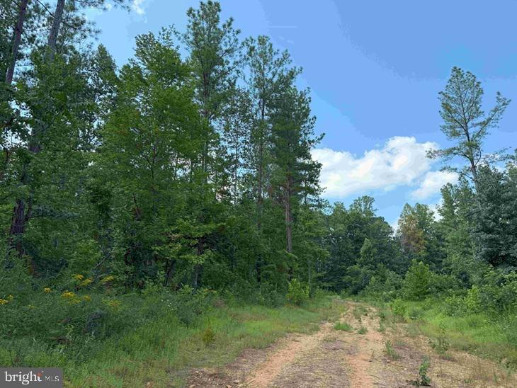 HOLLAND ROAD (TRACT: JR BEDFORD-BOWLES_SIMS-2), COLUMBIA, Virginia 23038, ,Farm,For sale,HOLLAND ROAD (TRACT: JR BEDFORD-BOWLES_SIMS-2),VAFN2000520 MLS # VAFN2000520