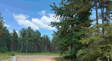 HOLLAND ROAD (TRACT: JR BEDFORD-BOWLES_SIMS-2), COLUMBIA, Virginia 23038, ,Farm,For sale,HOLLAND ROAD (TRACT: JR BEDFORD-BOWLES_SIMS-2),VAFN2000520 MLS # VAFN2000520