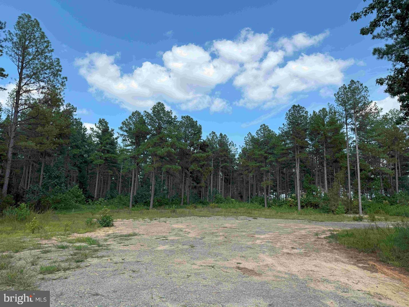 HOLLAND ROAD (TRACT: JR BEDFORD-BOWLES_SIMS-4), COLUMBIA, Virginia 23038, ,Farm,For sale,HOLLAND ROAD (TRACT: JR BEDFORD-BOWLES_SIMS-4),VAFN2000522 MLS # VAFN2000522