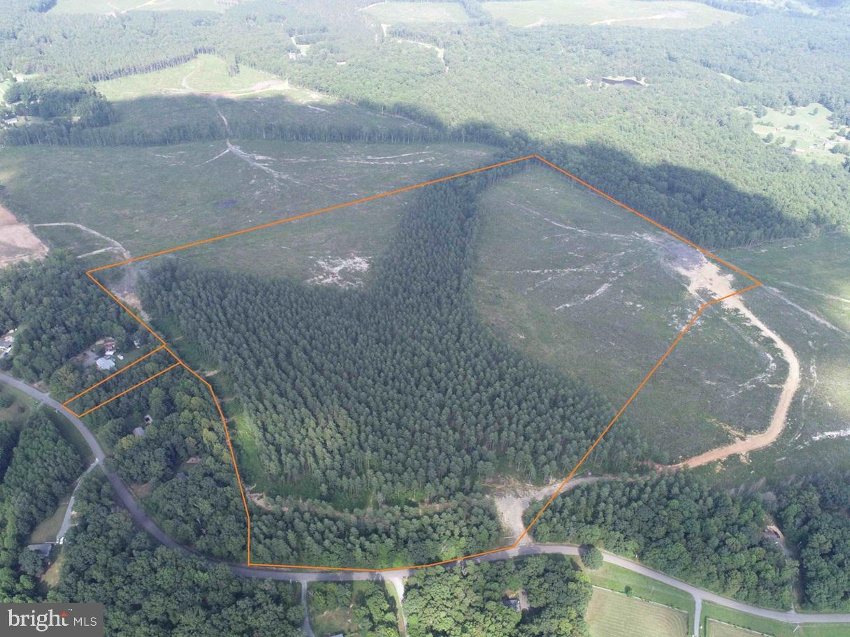 HOLLAND ROAD (TRACT: JR BEDFORD-BOWLES_SIMS-4), COLUMBIA, Virginia 23038, ,Farm,For sale,HOLLAND ROAD (TRACT: JR BEDFORD-BOWLES_SIMS-4),VAFN2000522 MLS # VAFN2000522
