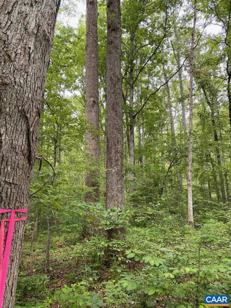 LOT 2 WALDROP CHURCH RD, LOUISA, Virginia 23093, ,Land,For sale,LOT 2 WALDROP CHURCH RD,670129 MLS # 670129