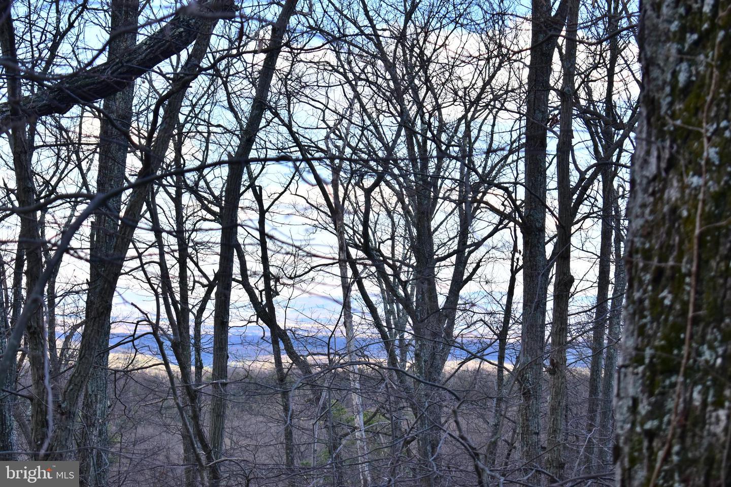 LOT 5A FOX TRL, WINCHESTER, Virginia 22602, ,Land,For sale,-LOT 5A FOX TRL,VAFV2037484 MLS # VAFV2037484 LOT 5A FOX TRL, WINCHESTER, Virginia 22602, ,Land,For sale,-LOT 5A FOX TRL,VAFV2037484 MLS # VAFV2037484