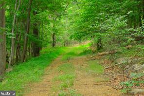 LOT 5A FOX TRL, WINCHESTER, Virginia 22602, ,Land,For sale,-LOT 5A FOX TRL,VAFV2037484 MLS # VAFV2037484