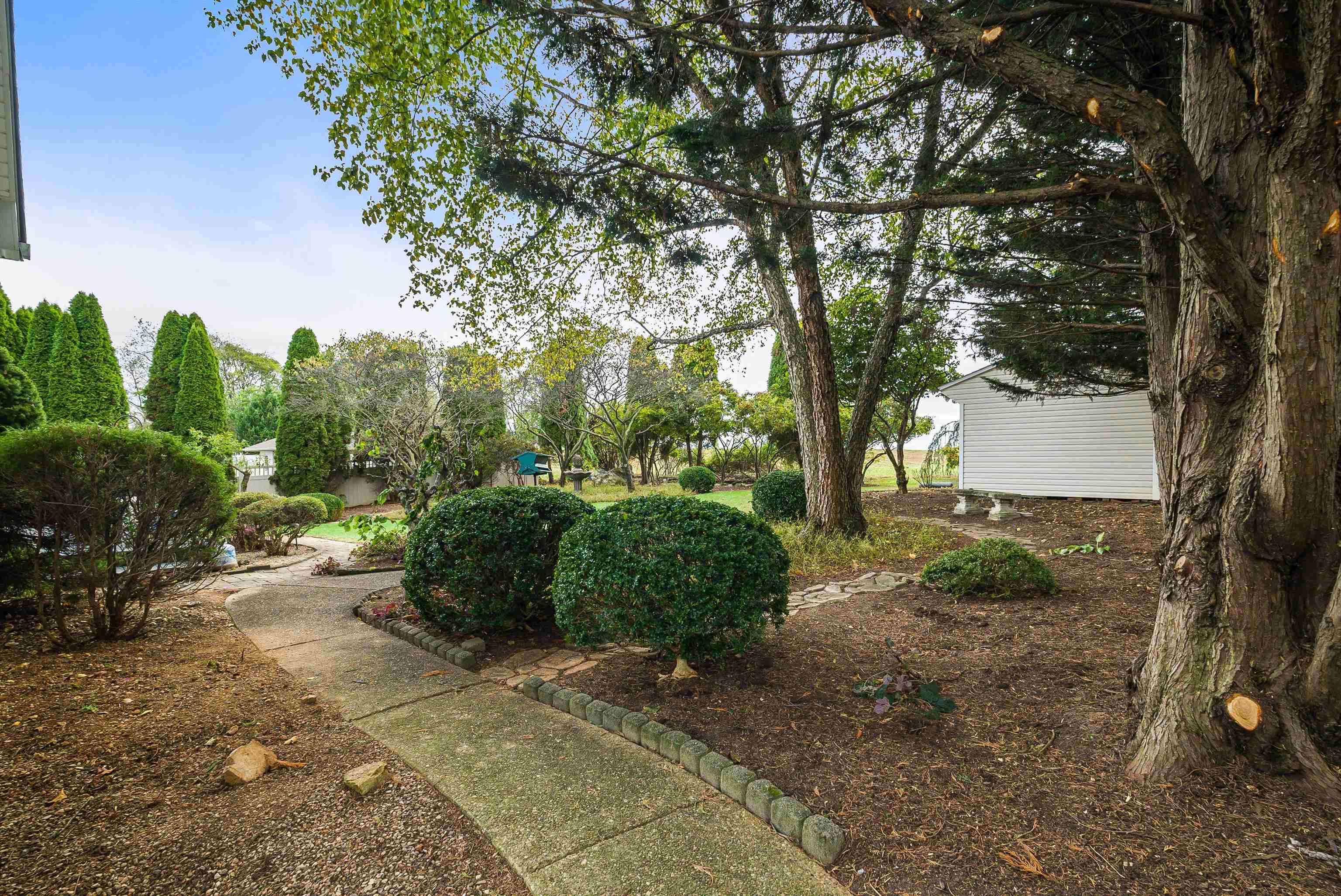 243 NORTHVIEW DR, DAYTON, Virginia 22821, 3 Bedrooms Bedrooms, ,2 BathroomsBathrooms,Residential,Dayton Charmer,243 NORTHVIEW DR,670110 MLS # 670110