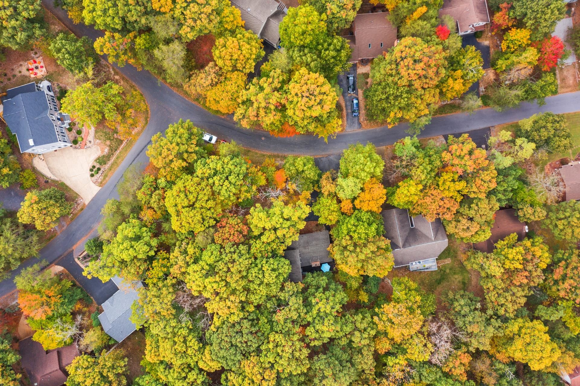 266 ELK LN, MCGAHEYSVILLE, Virginia 22840, 3 Bedrooms Bedrooms, ,2 BathroomsBathrooms,Residential,266 ELK LN,670116 MLS # 670116 266 ELK LN, MCGAHEYSVILLE, Virginia 22840, 3 Bedrooms Bedrooms, ,2 BathroomsBathrooms,Residential,266 ELK LN,670116 MLS # 670116