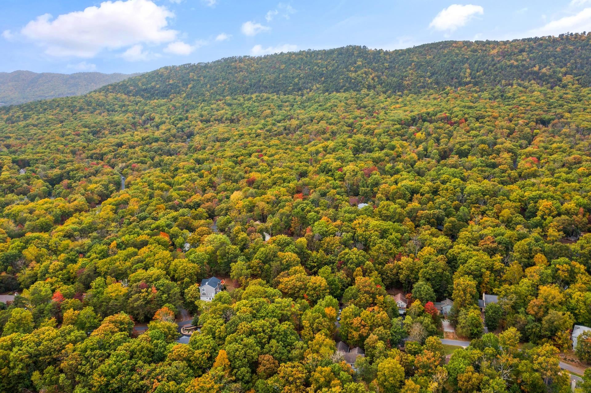 266 ELK LN, MCGAHEYSVILLE, Virginia 22840, 3 Bedrooms Bedrooms, ,2 BathroomsBathrooms,Residential,266 ELK LN,670116 MLS # 670116 266 ELK LN, MCGAHEYSVILLE, Virginia 22840, 3 Bedrooms Bedrooms, ,2 BathroomsBathrooms,Residential,266 ELK LN,670116 MLS # 670116