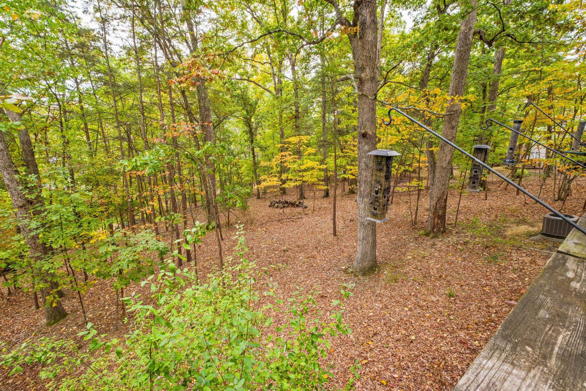 266 ELK LN, MCGAHEYSVILLE, Virginia 22840, 3 Bedrooms Bedrooms, ,2 BathroomsBathrooms,Residential,266 ELK LN,670116 MLS # 670116 266 ELK LN, MCGAHEYSVILLE, Virginia 22840, 3 Bedrooms Bedrooms, ,2 BathroomsBathrooms,Residential,266 ELK LN,670116 MLS # 670116