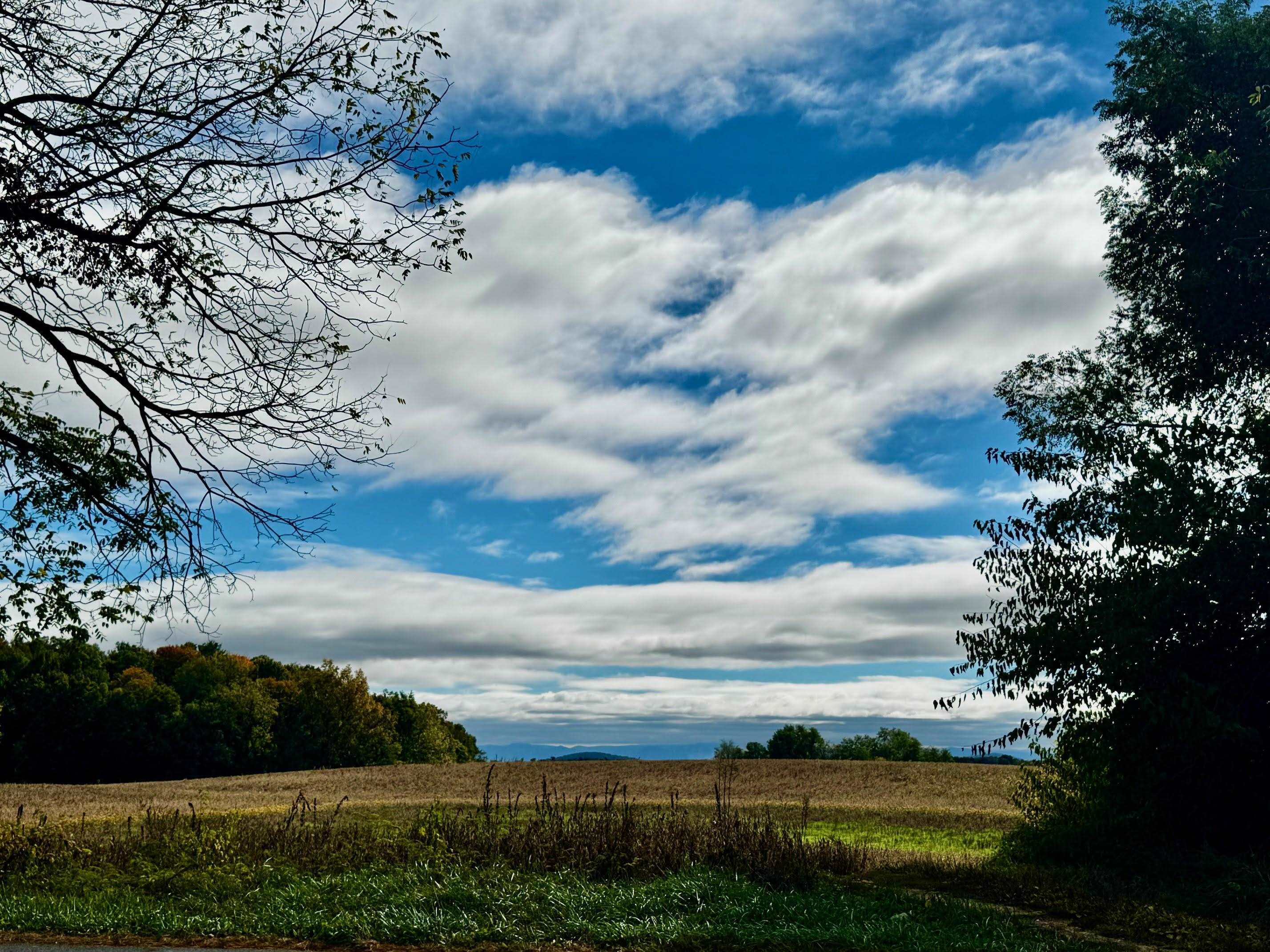 7842 COMMUNITY CENTER RD, BRIDGEWATER, Virginia 22812, 4 Bedrooms Bedrooms, ,2 BathroomsBathrooms,Residential,7842 COMMUNITY CENTER RD,670120 MLS # 670120 7842 COMMUNITY CENTER RD, BRIDGEWATER, Virginia 22812, 4 Bedrooms Bedrooms, ,2 BathroomsBathrooms,Residential,7842 COMMUNITY CENTER RD,670120 MLS # 670120