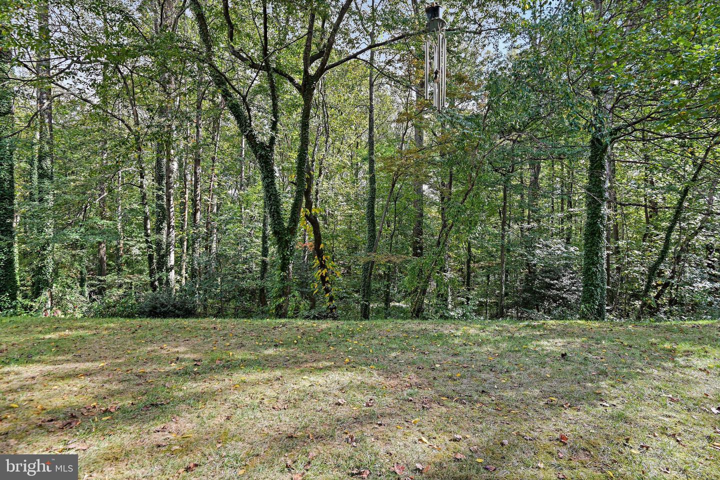 11619 VANTAGE HILL RD #1A, RESTON, Virginia 20190, 1 Bedroom Bedrooms, ,1 BathroomBathrooms,Residential,For sale,11619 VANTAGE HILL RD #1A,VAFX2268662 MLS # VAFX2268662 11619 VANTAGE HILL RD #1A, RESTON, Virginia 20190, 1 Bedroom Bedrooms, ,1 BathroomBathrooms,Residential,For sale,11619 VANTAGE HILL RD #1A,VAFX2268662 MLS # VAFX2268662