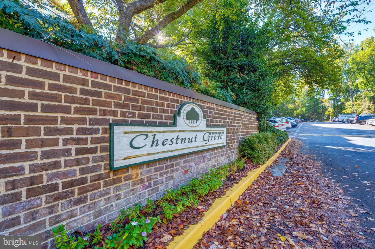 11260 CHESTNUT GROVE SQ #339, RESTON, Virginia 20190, 2 Bedrooms Bedrooms, ,1 BathroomBathrooms,Residential,For sale,11260 CHESTNUT GROVE SQ #339,VAFX2269794 MLS # VAFX2269794