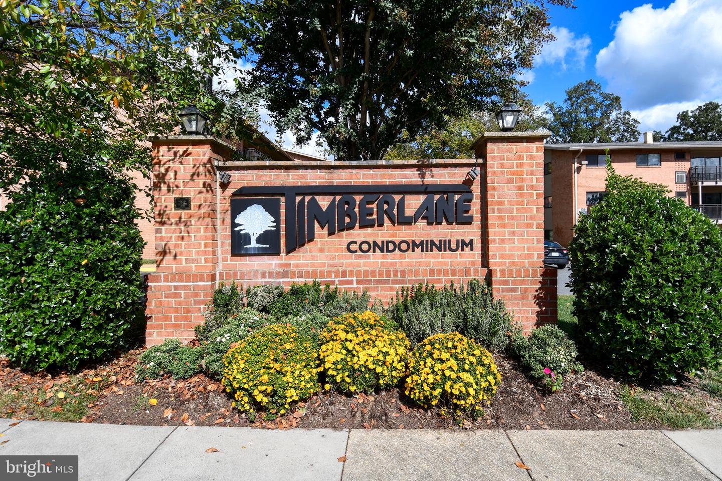 7328 LEE HWY #102, FALLS CHURCH, Virginia 22046, 1 Bedroom Bedrooms, ,1 BathroomBathrooms,Residential,For sale,7328 LEE HWY #102,VAFX2273364 MLS # VAFX2273364