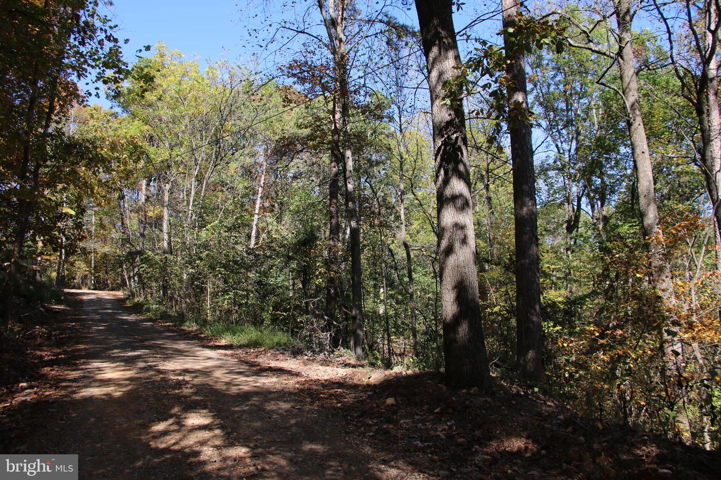 RIVER VIEW PL, SHENANDOAH, Virginia 22849, ,Land,For sale,RIVER VIEW PL,VAPA2005486 MLS # VAPA2005486