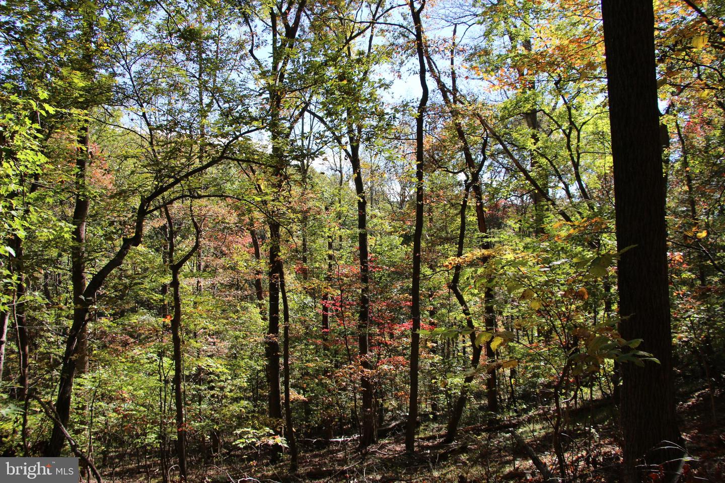 RIVER VIEW PL, SHENANDOAH, Virginia 22849, ,Land,For sale,RIVER VIEW PL,VAPA2005486 MLS # VAPA2005486