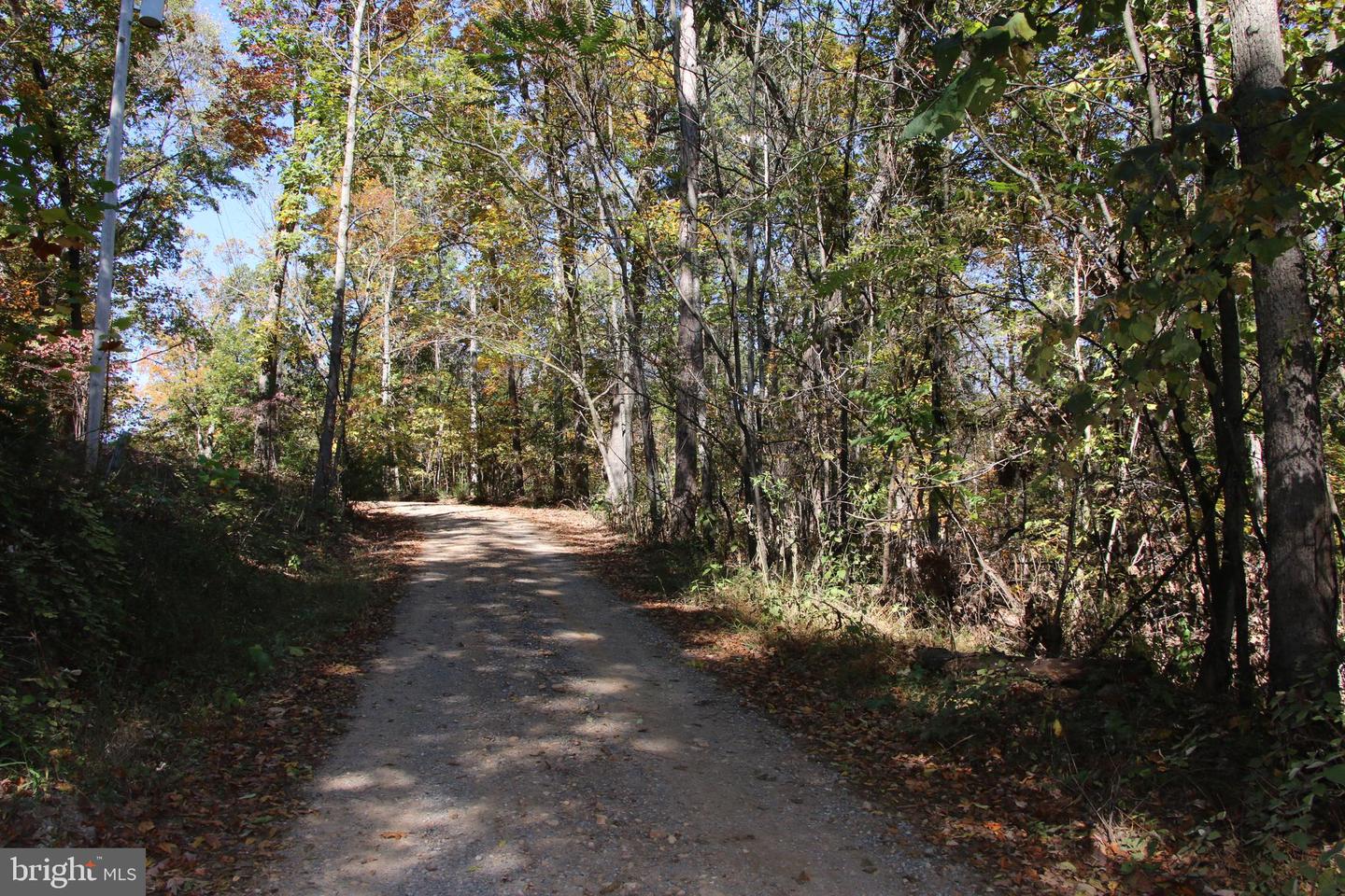 RIVER VIEW PL, SHENANDOAH, Virginia 22849, ,Land,For sale,RIVER VIEW PL,VAPA2005486 MLS # VAPA2005486