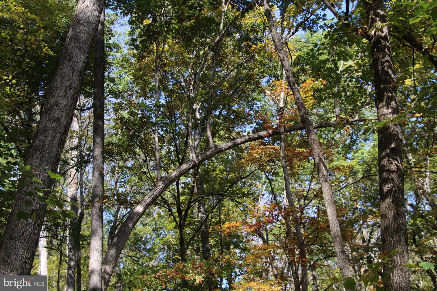 RIVER VIEW PL, SHENANDOAH, Virginia 22849, ,Land,For sale,RIVER VIEW PL,VAPA2005486 MLS # VAPA2005486