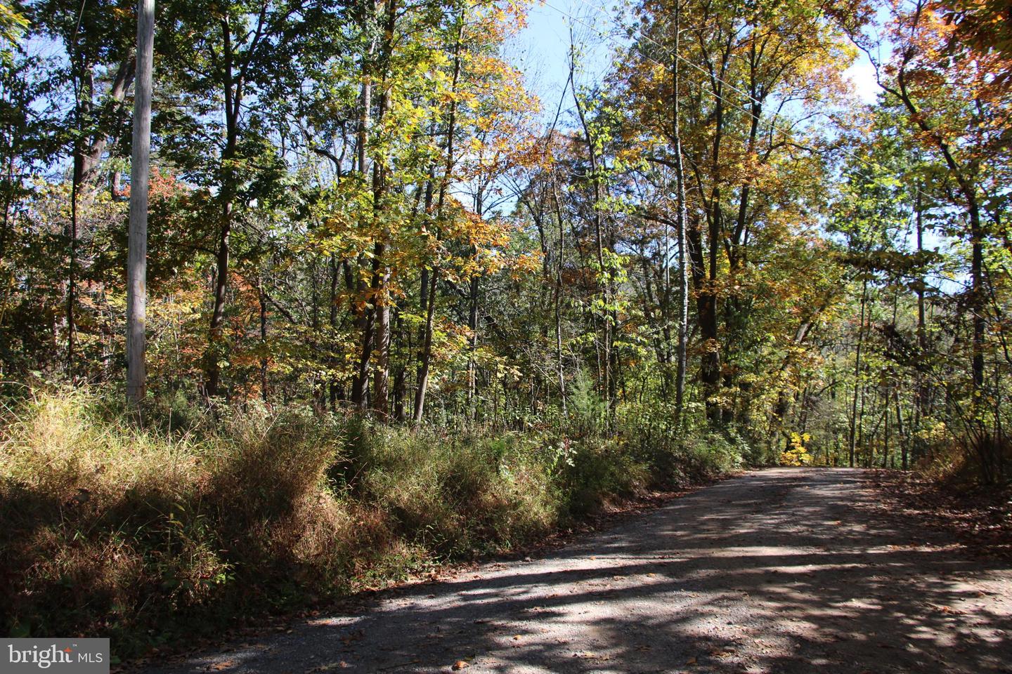 RIVER VIEW PL, SHENANDOAH, Virginia 22849, ,Land,For sale,RIVER VIEW PL,VAPA2005486 MLS # VAPA2005486