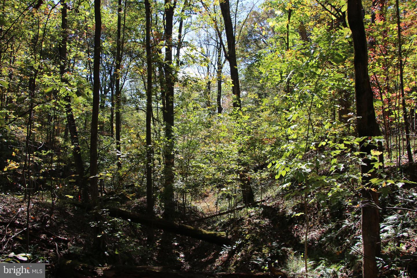RIVER VIEW PL, SHENANDOAH, Virginia 22849, ,Land,For sale,RIVER VIEW PL,VAPA2005486 MLS # VAPA2005486