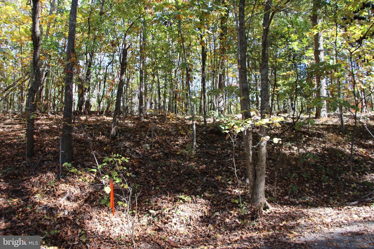 RIVER VIEW PL, SHENANDOAH, Virginia 22849, ,Land,For sale,RIVER VIEW PL,VAPA2005486 MLS # VAPA2005486