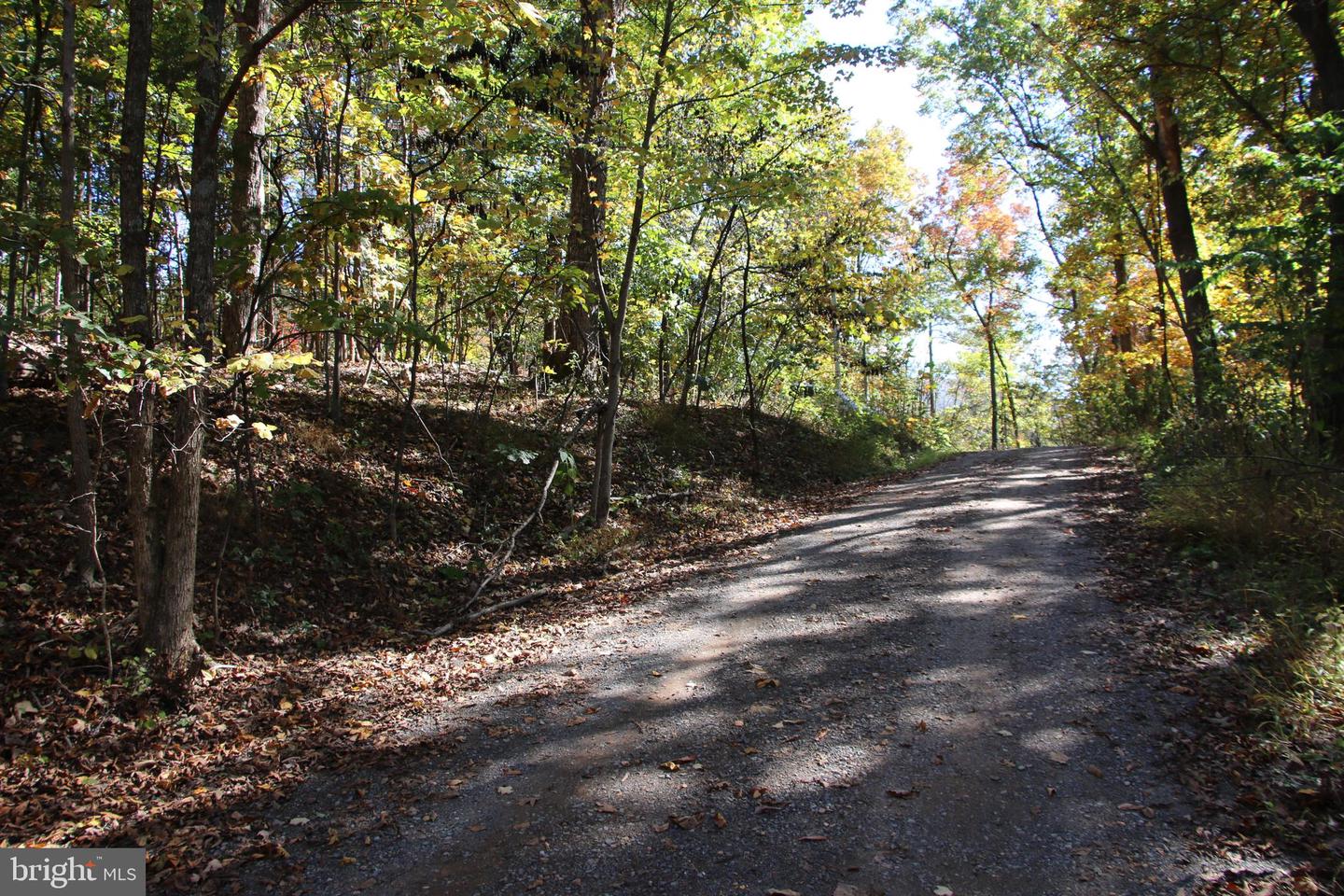 RIVER VIEW PL, SHENANDOAH, Virginia 22849, ,Land,For sale,RIVER VIEW PL,VAPA2005486 MLS # VAPA2005486