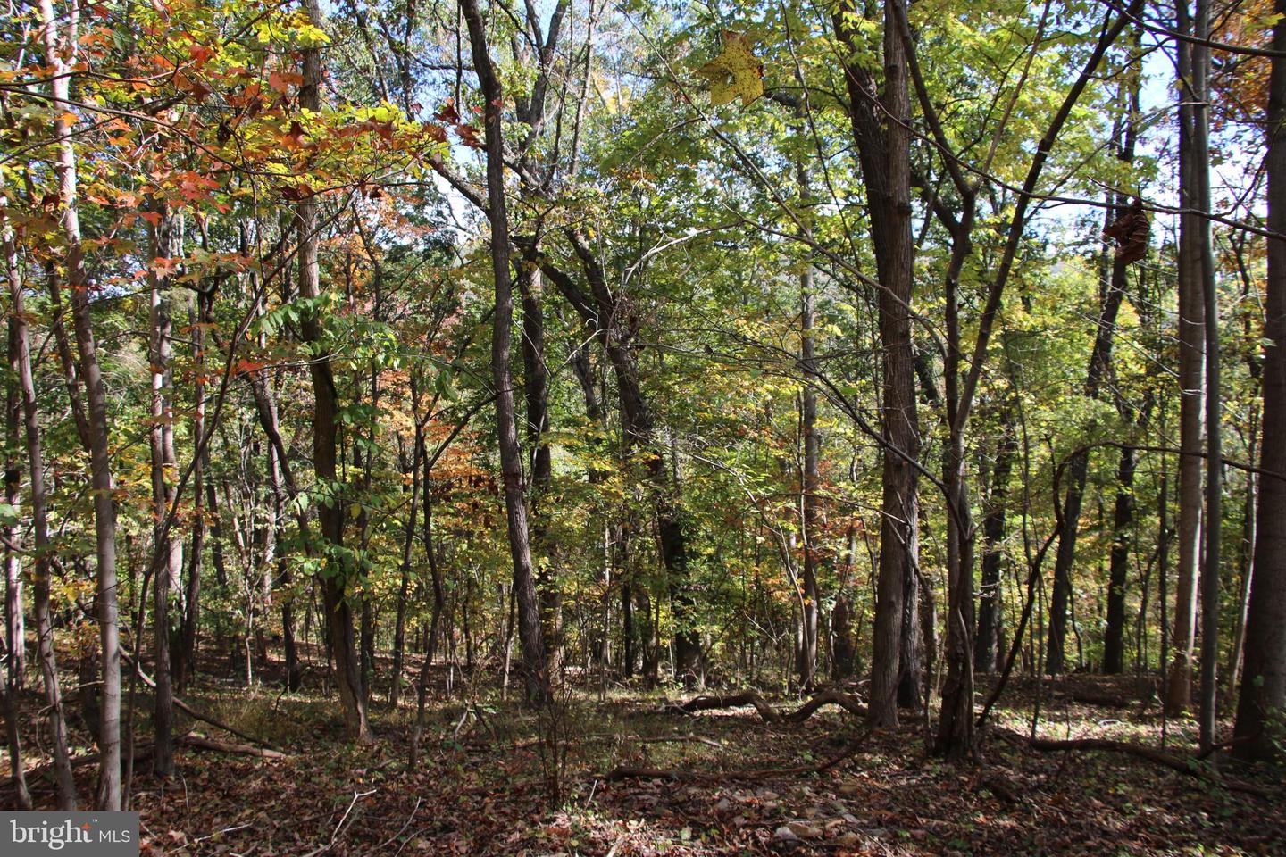 RIVER VIEW PL, SHENANDOAH, Virginia 22849, ,Land,For sale,RIVER VIEW PL,VAPA2005486 MLS # VAPA2005486