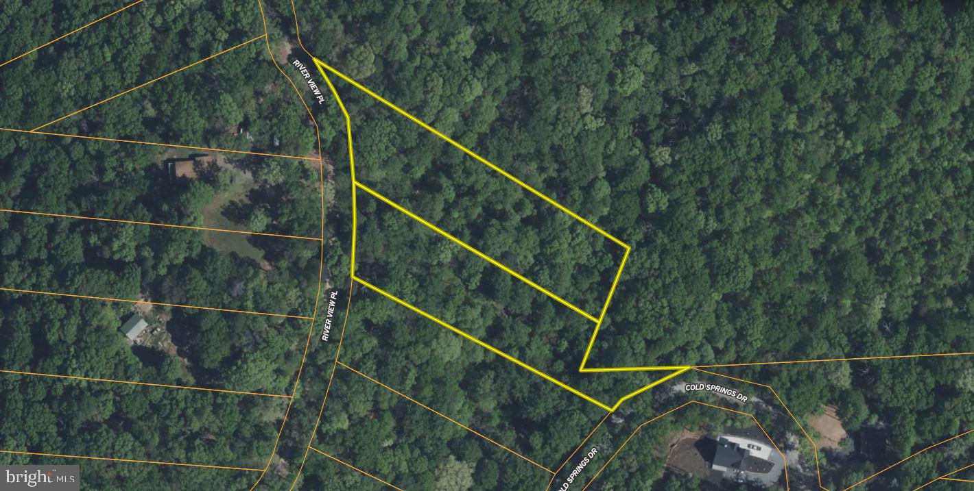 RIVER VIEW PL, SHENANDOAH, Virginia 22849, ,Land,For sale,RIVER VIEW PL,VAPA2005486 MLS # VAPA2005486
