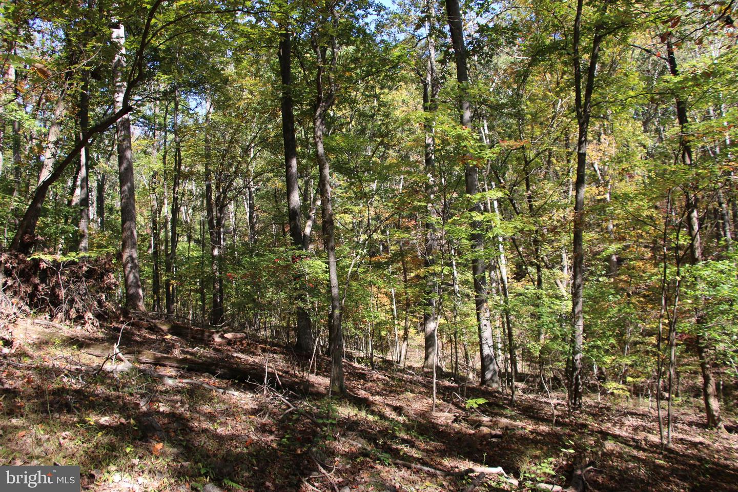 RIVER VIEW PL, SHENANDOAH, Virginia 22849, ,Land,For sale,RIVER VIEW PL,VAPA2005486 MLS # VAPA2005486