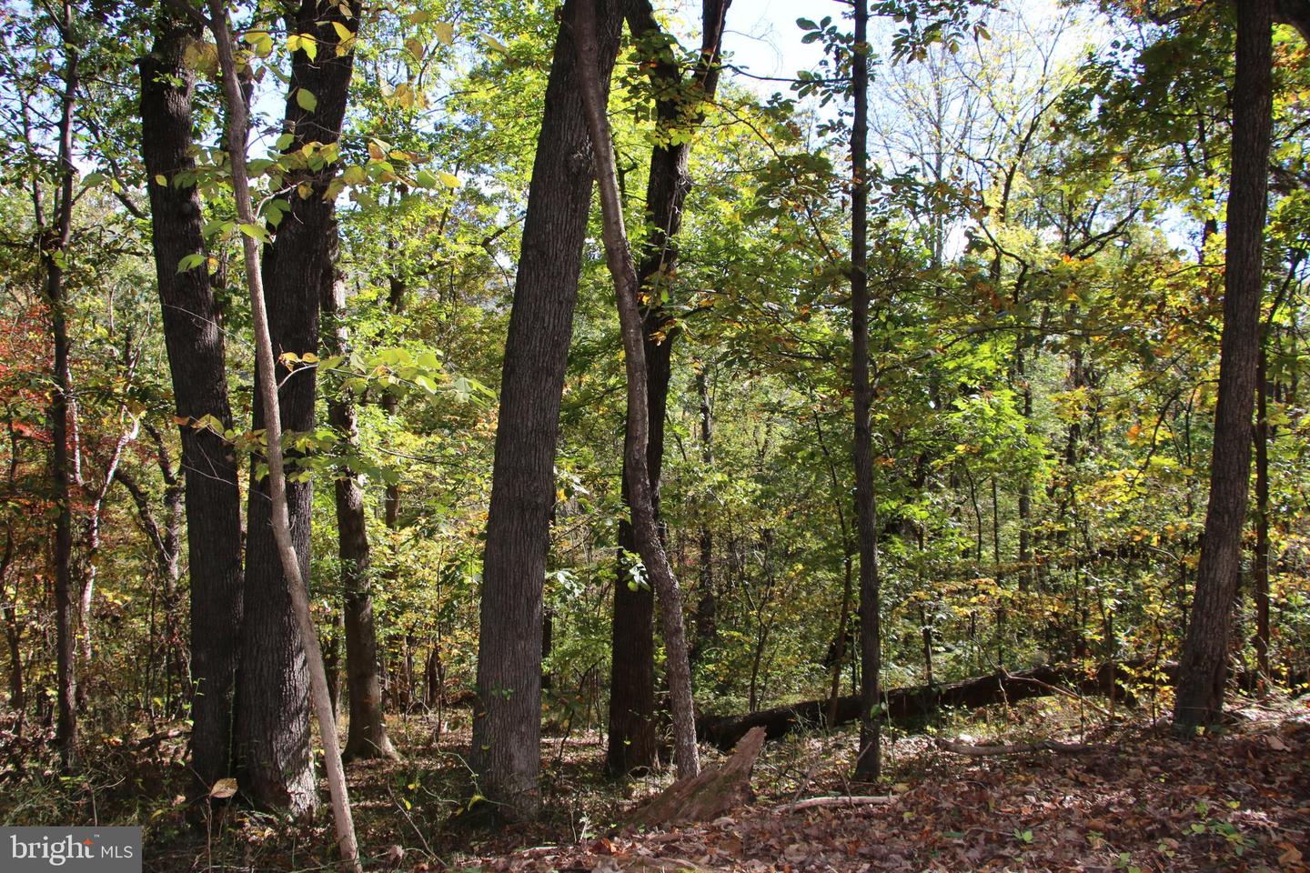 RIVER VIEW PL, SHENANDOAH, Virginia 22849, ,Land,For sale,RIVER VIEW PL,VAPA2005486 MLS # VAPA2005486