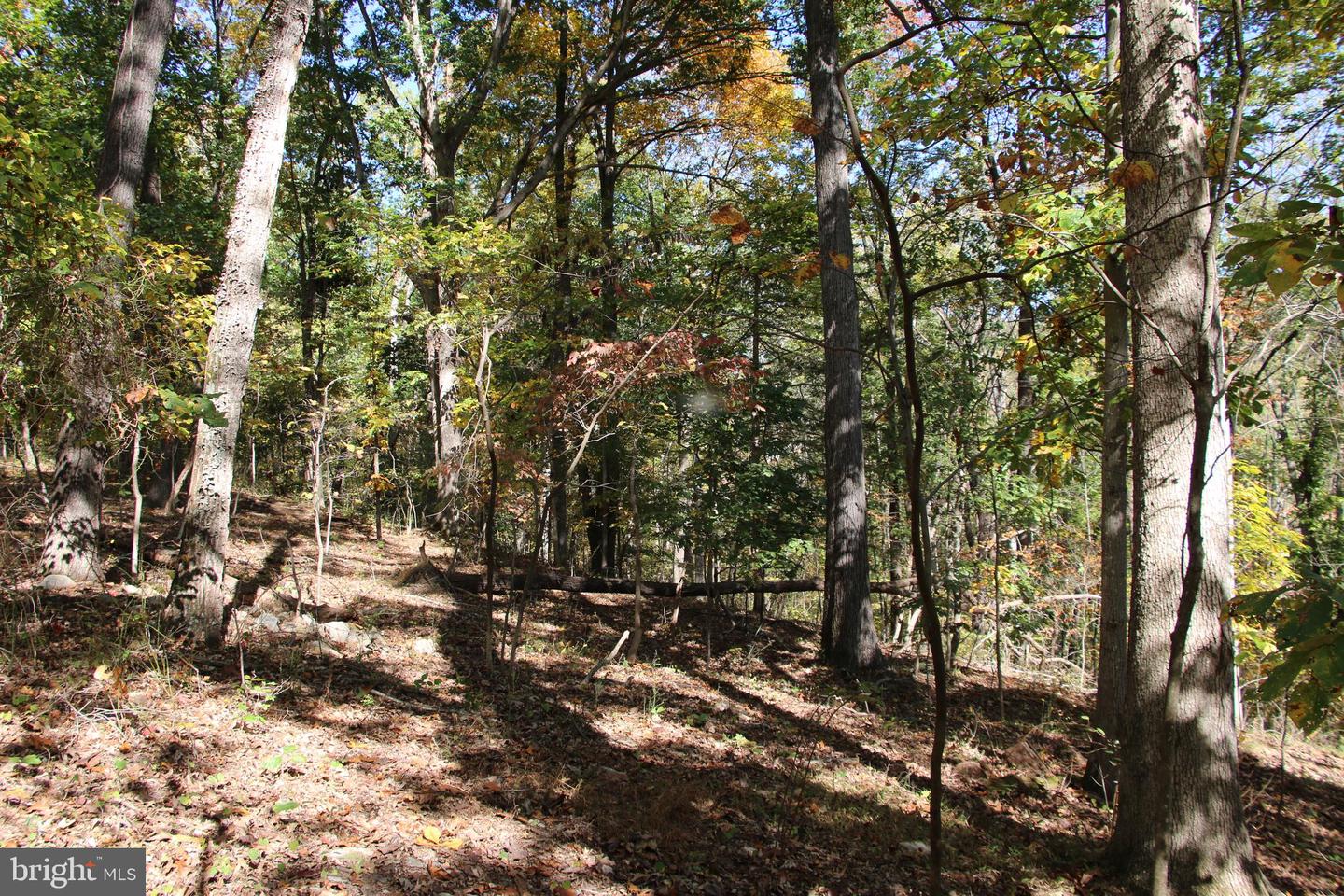RIVER VIEW PL, SHENANDOAH, Virginia 22849, ,Land,For sale,RIVER VIEW PL,VAPA2005486 MLS # VAPA2005486