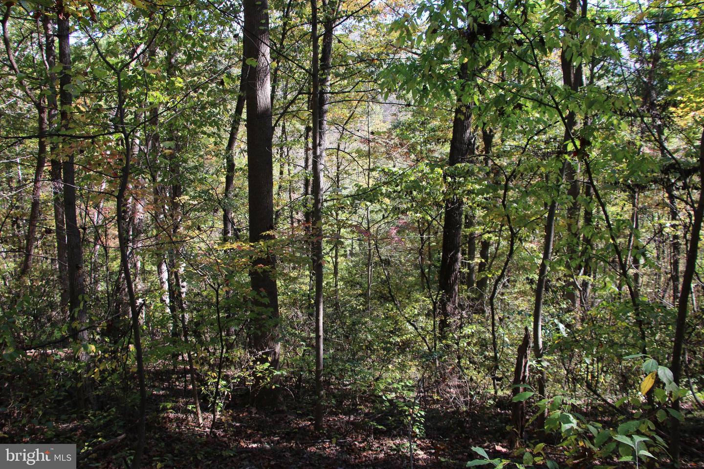 RIVER VIEW PL, SHENANDOAH, Virginia 22849, ,Land,For sale,RIVER VIEW PL,VAPA2005486 MLS # VAPA2005486