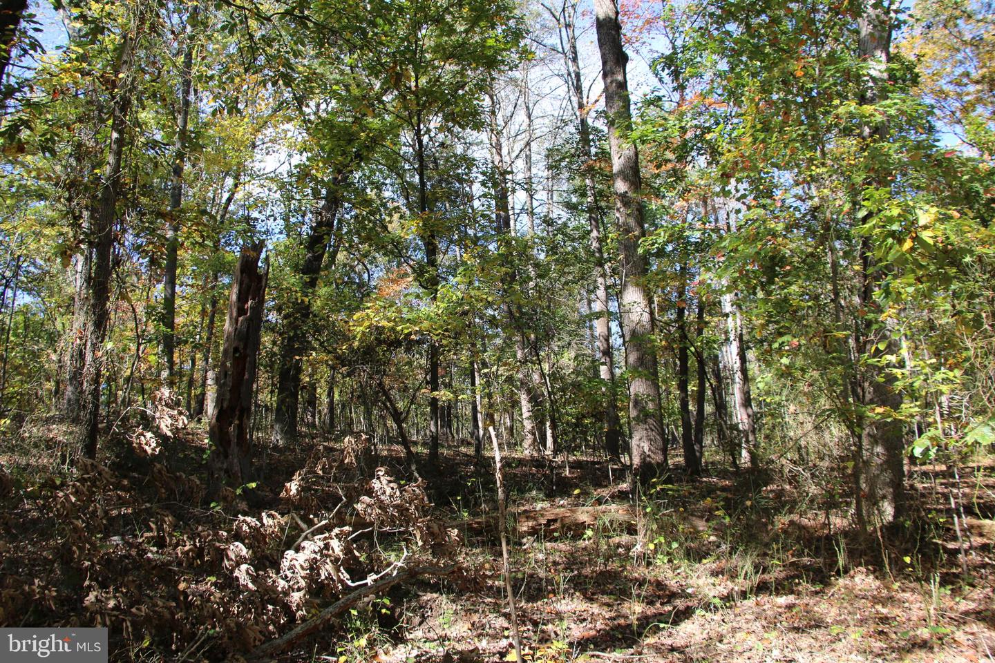 RIVER VIEW PL, SHENANDOAH, Virginia 22849, ,Land,For sale,RIVER VIEW PL,VAPA2005486 MLS # VAPA2005486