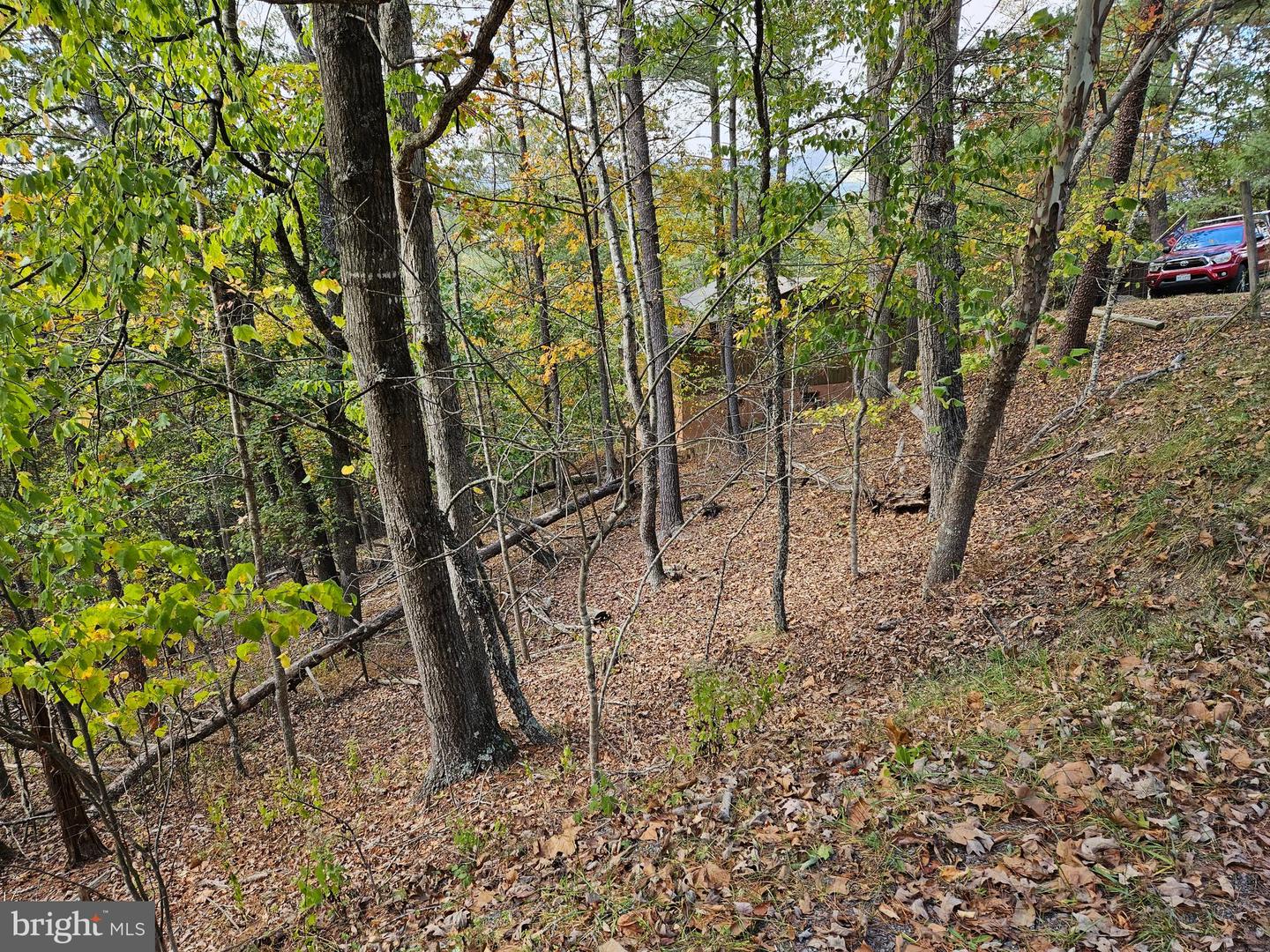 GREENVIEW, BASYE, Virginia 22810, ,Land,For sale,GREENVIEW,VASH2012766 MLS # VASH2012766