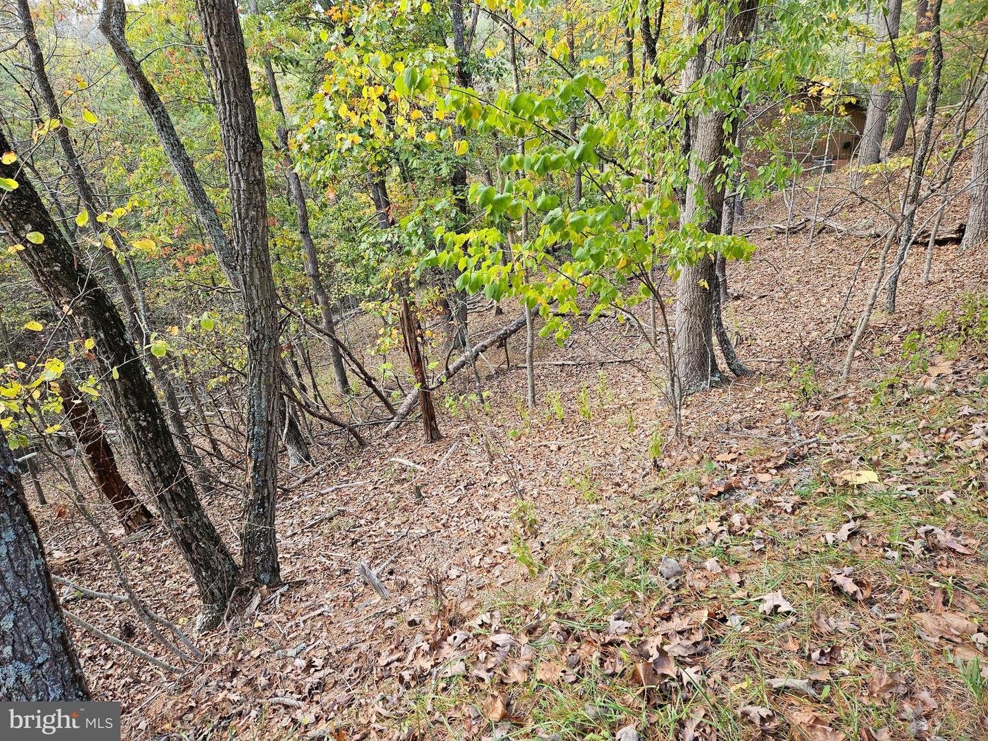 GREENVIEW, BASYE, Virginia 22810, ,Land,For sale,GREENVIEW,VASH2012766 MLS # VASH2012766