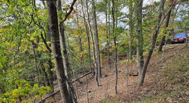 GREENVIEW, BASYE, Virginia 22810, ,Land,For sale,GREENVIEW,VASH2012766 MLS # VASH2012766