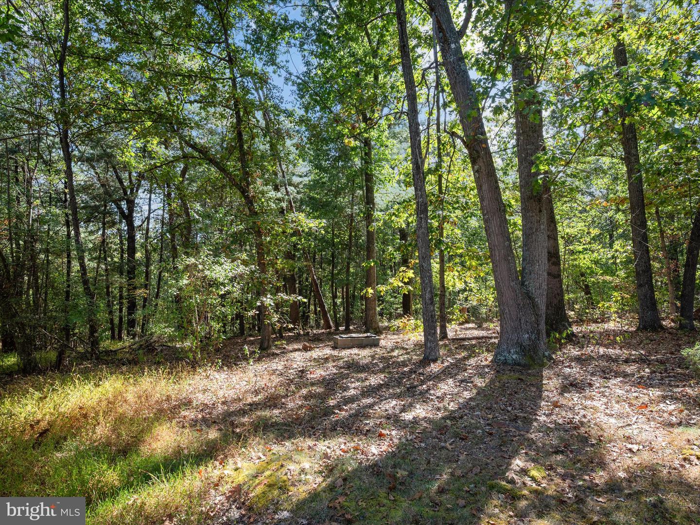 220 CHESTNUT GROVE RD, WINCHESTER, Virginia 22603, 2 Bedrooms Bedrooms, 6 Rooms Rooms,1 BathroomBathrooms,Residential,For sale,220 CHESTNUT GROVE RD,VAFV2037446 MLS # VAFV2037446