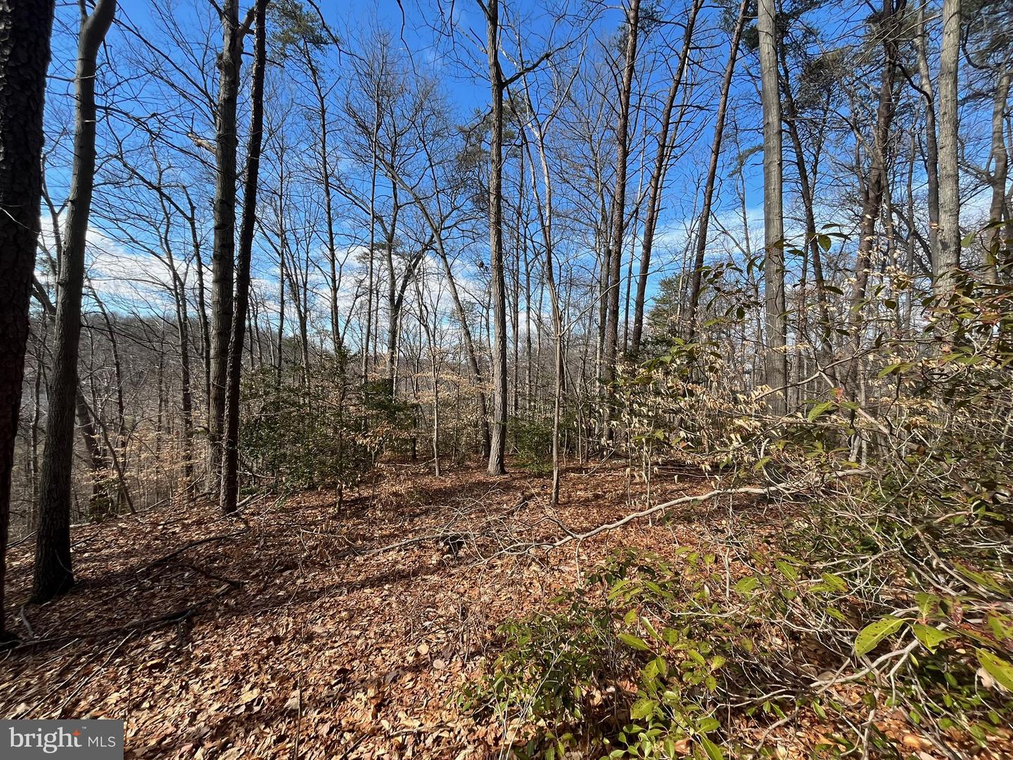 7230 LACKAWANNA DR, SPRINGFIELD, Virginia 22150, 3 Bedrooms Bedrooms, ,2 BathroomsBathrooms,Residential,For sale,7230 LACKAWANNA DR,VAFX2274880 MLS # VAFX2274880