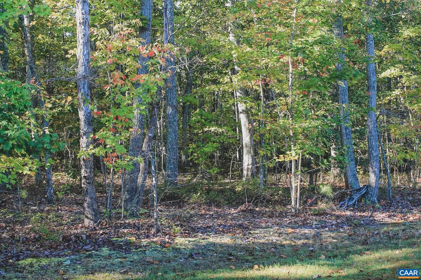 6308 JEFFERSON MILL RD, SCOTTSVILLE, Virginia 24590, 5 Bedrooms Bedrooms, ,3 BathroomsBathrooms,Residential,For sale,6308 JEFFERSON MILL RD,670113 MLS # 670113