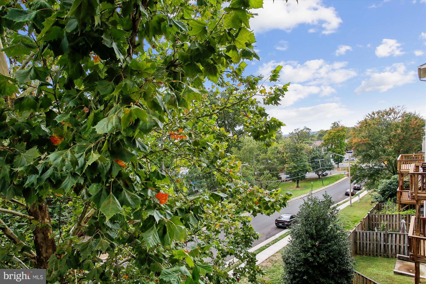 3335 BEECHCLIFF DR, ALEXANDRIA, Virginia 22306, 4 Bedrooms Bedrooms, ,3 BathroomsBathrooms,Residential,For sale,3335 BEECHCLIFF DR,VAFX2273994 MLS # VAFX2273994